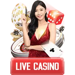 LiveCasino